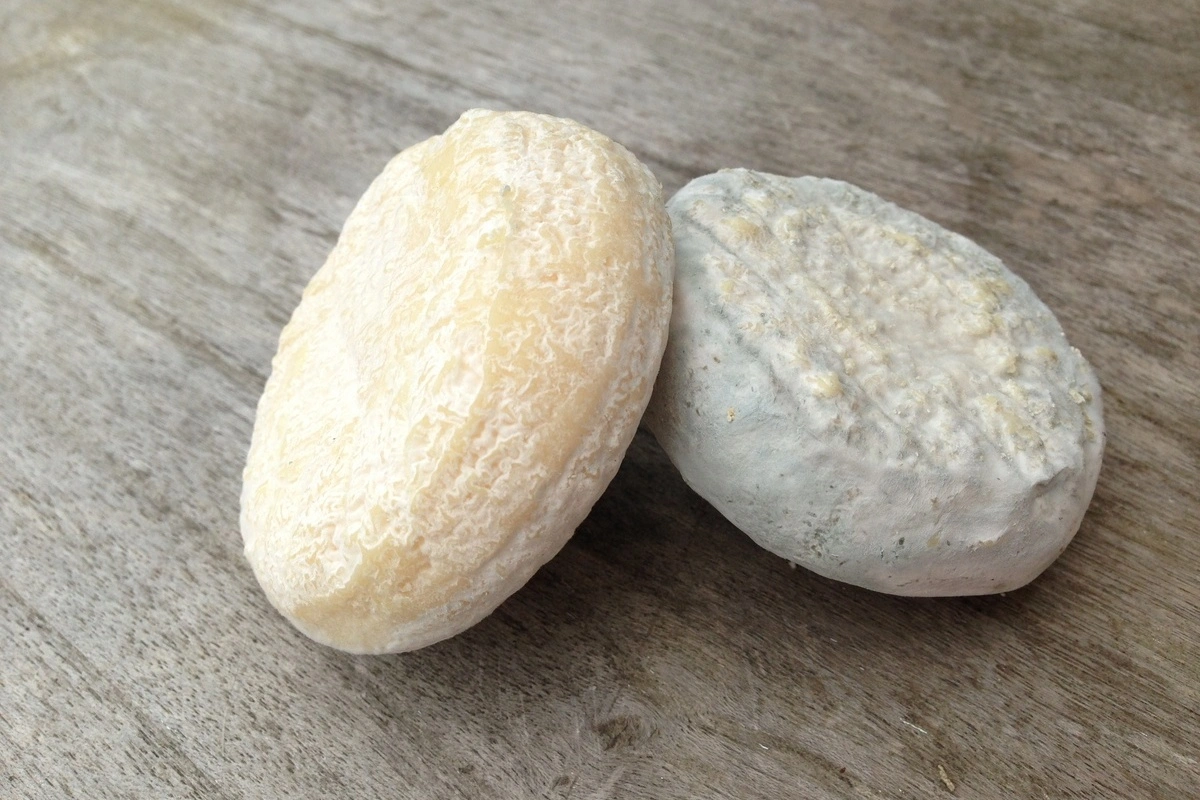 Fromages locaux du terroir de la Drôme provençale