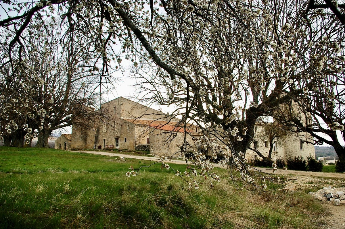 Château de la Gabelle au printemps avec des arbres en fleurs en Drôme provençale