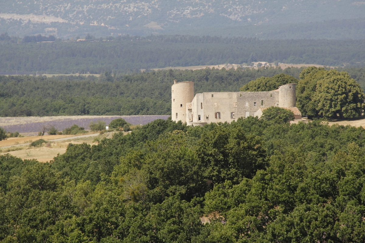 Vue panoramique du Château de la Gabelle entouré de champs de lavande et de forêts en Drôme provençale