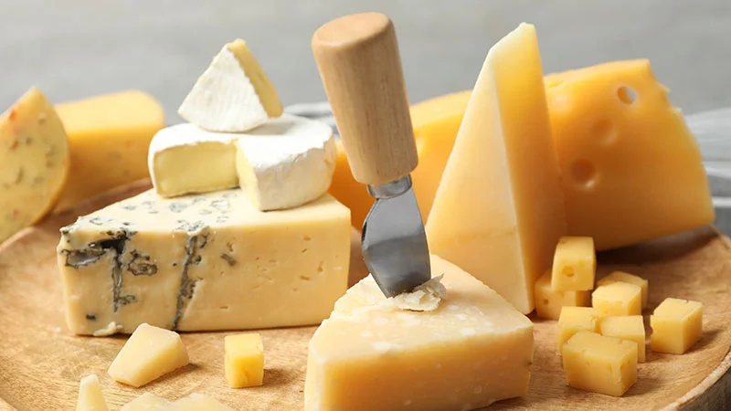 Assortiment de fromages à la table d'hôtes du Château de la Gabelle en Drôme provençale