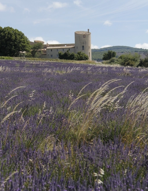 Votre séjour au Château De La Gabelle à Ferrassières