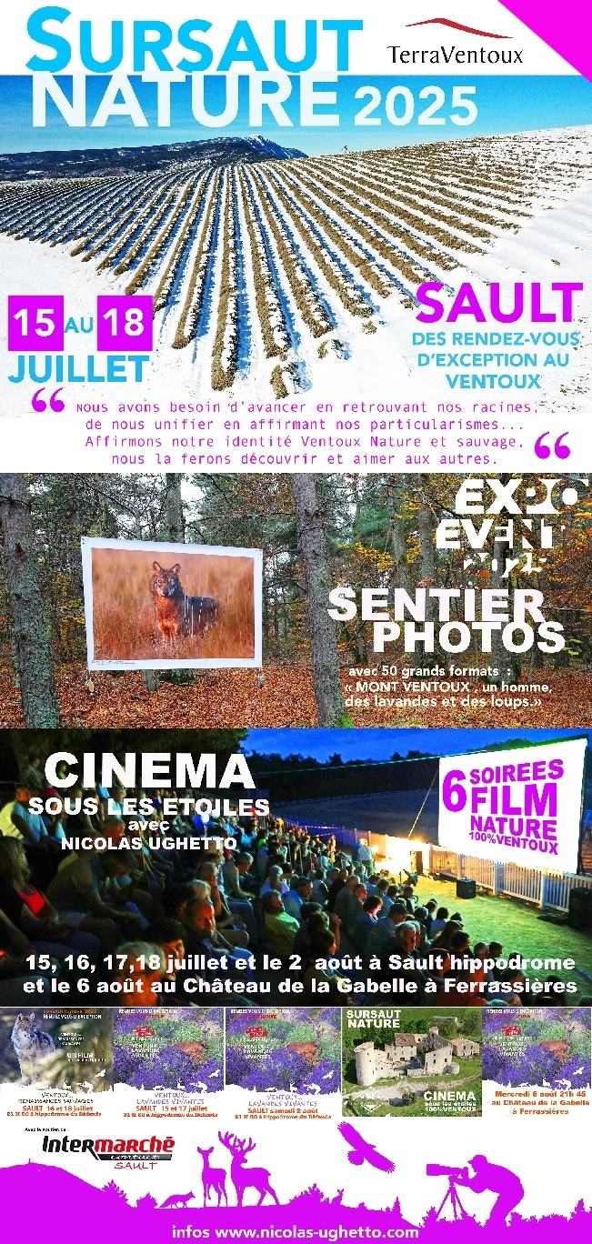 Cinéma sous les étoiles – 6 août 2025