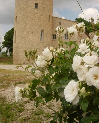 Chambre d'hôtes